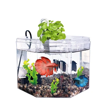 Аквариум С четырьмя Сетками Акриловая Изолирующая коробка Настольный Аквариум Betta Fish Tank Декоративный Аквариум для разведения Рыбы Кассовое украшение