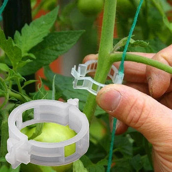 100шт Пластиковые зажимы для растений Поддерживают Соединяет Многоразовый инструмент для прививки и крепления Садовые принадлежности для овощей Зажимы для томатов для растений
