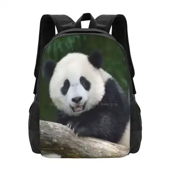 Детеныш панды Сяо Ци Цзи В Национальном зоопарке, дизайнерская сумка, студенческий рюкзак, Гигантская панда, детеныш панды Сяо Ци Цзи, Панды